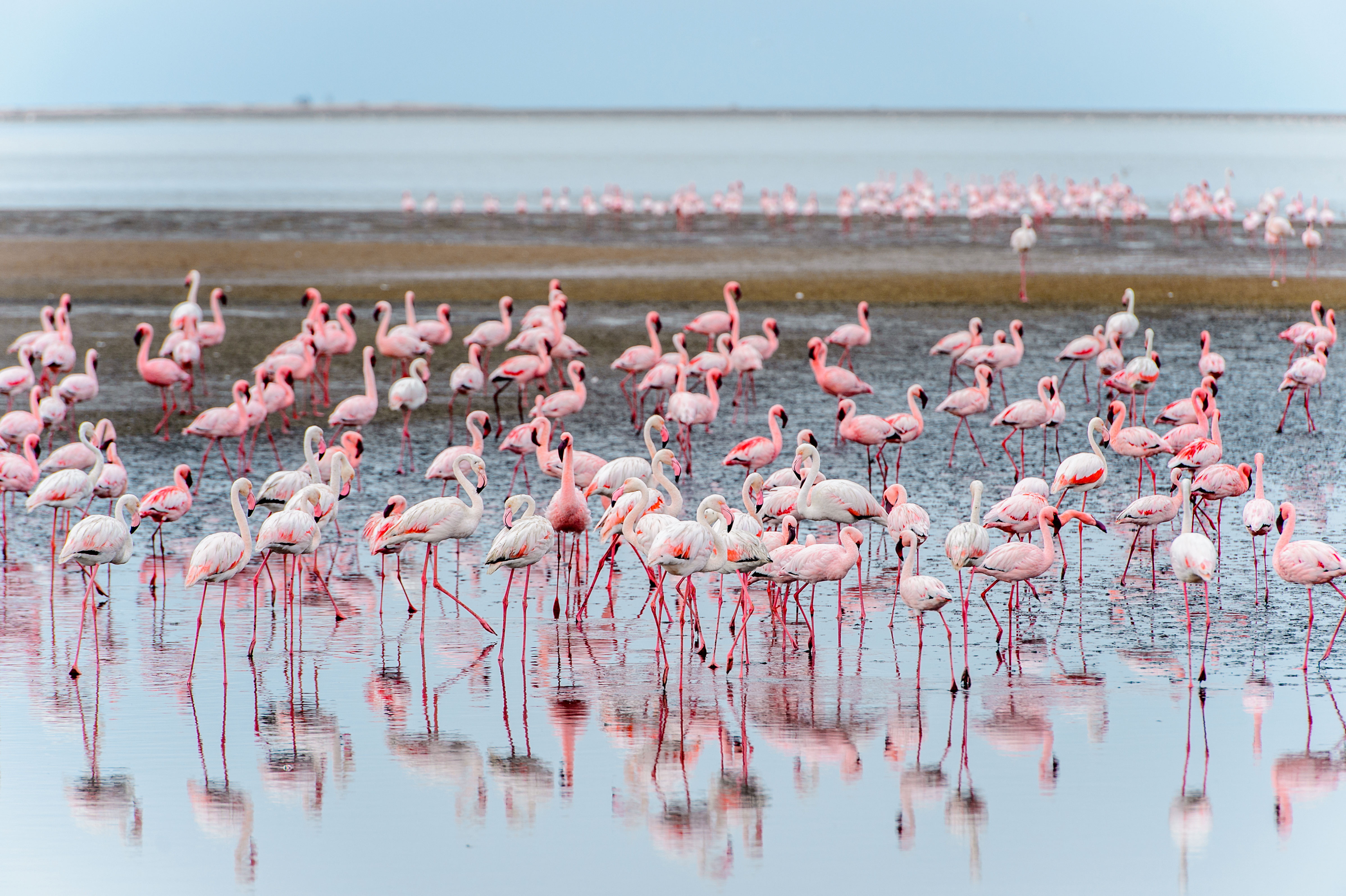 Walvis Bay, Namibia