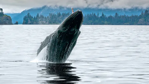 Seward, Alaska