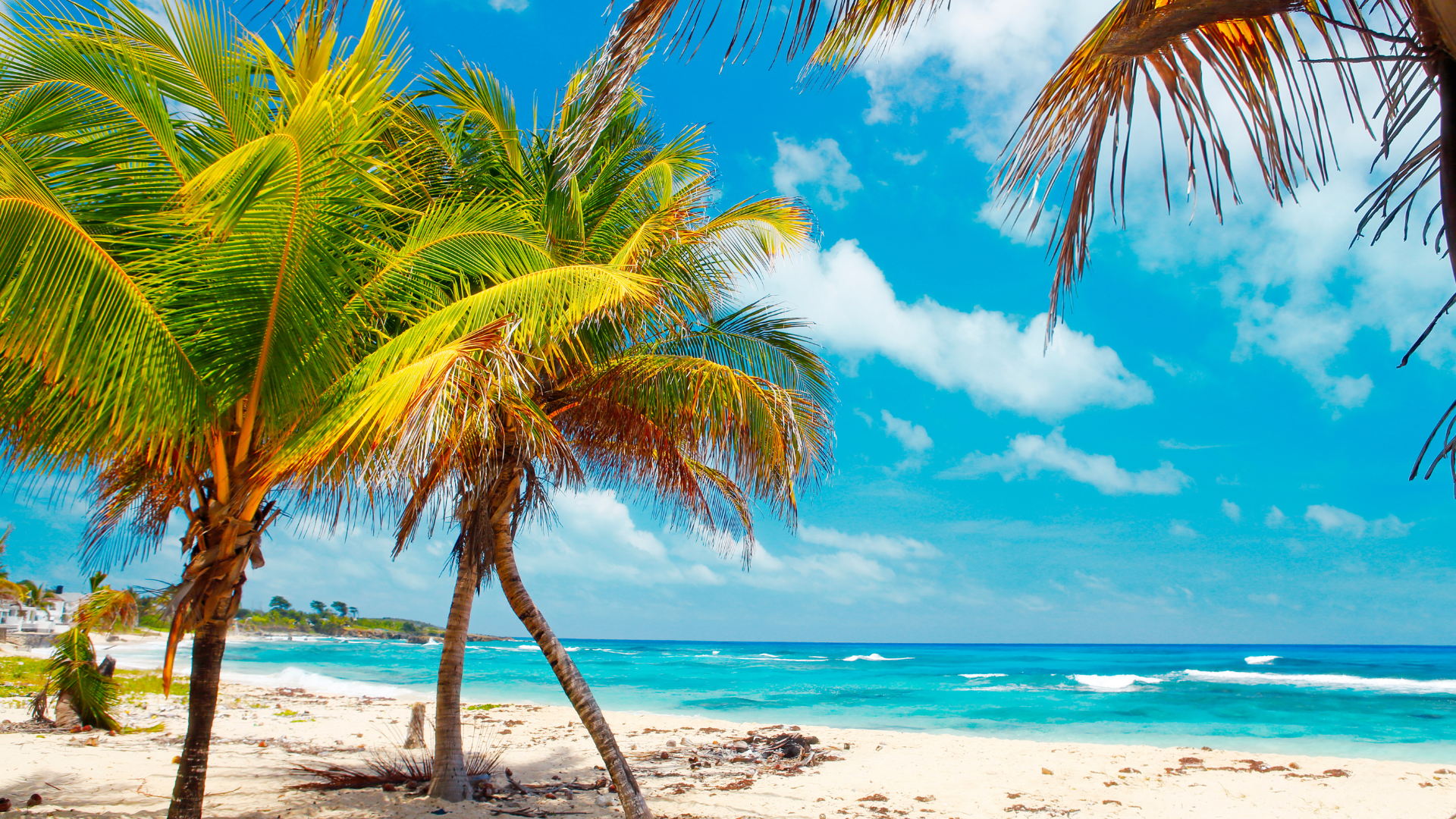 Jamaicas tropiska stränder