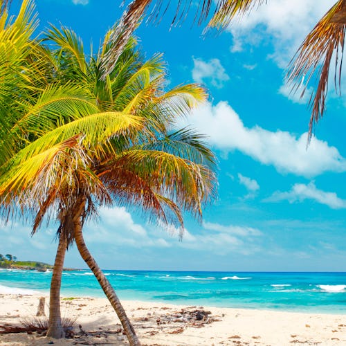 Jamaicas tropiska stränder