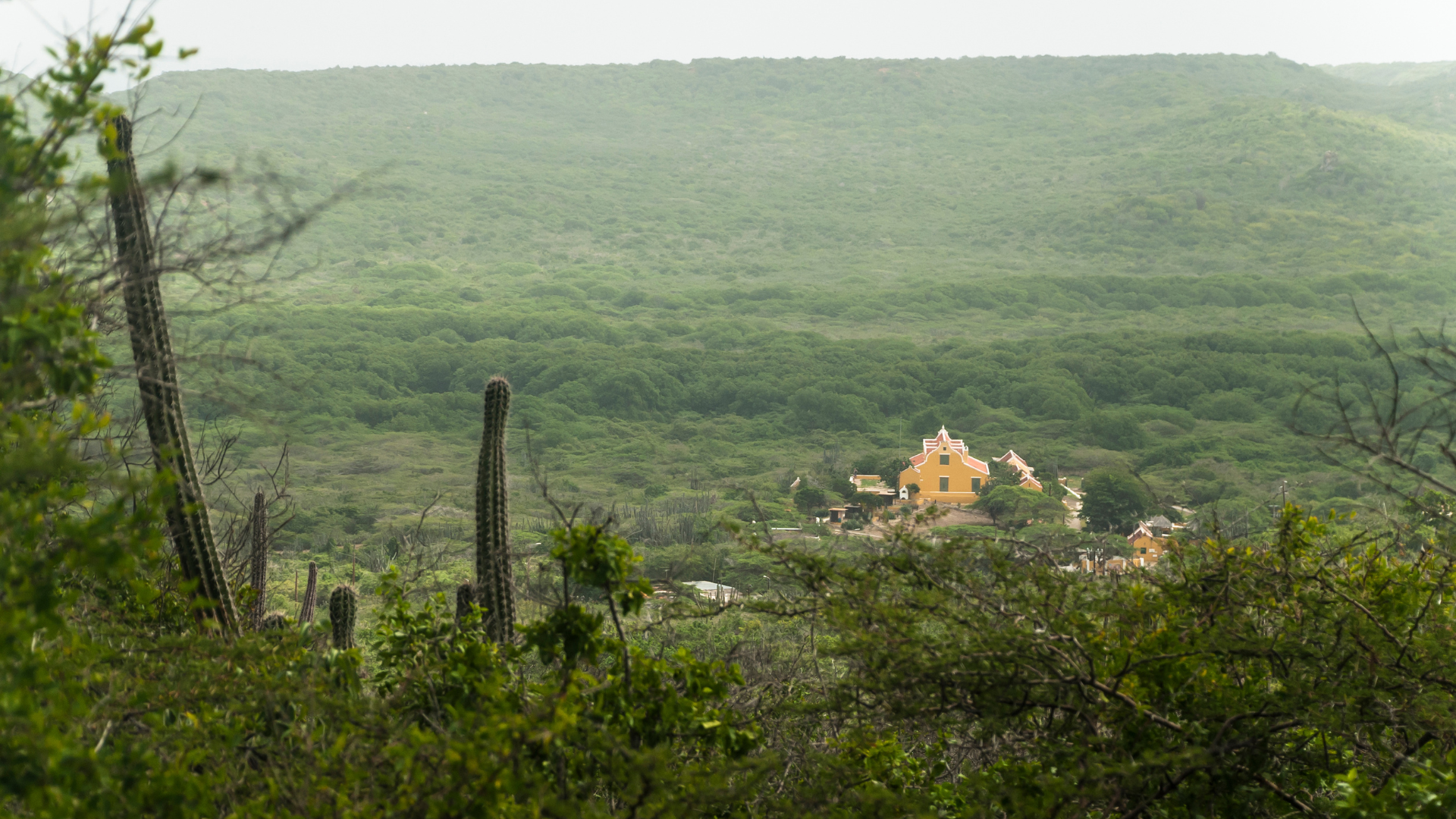Curaçao - jungle - history