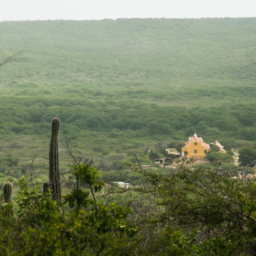 Curaçao - jungle - history
