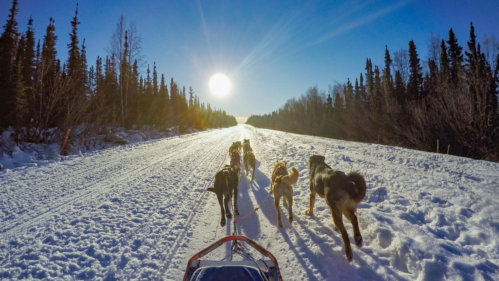 Unik och spännande äventyr i Alaska