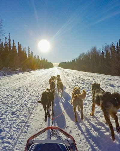 Unik och spännande äventyr i Alaska