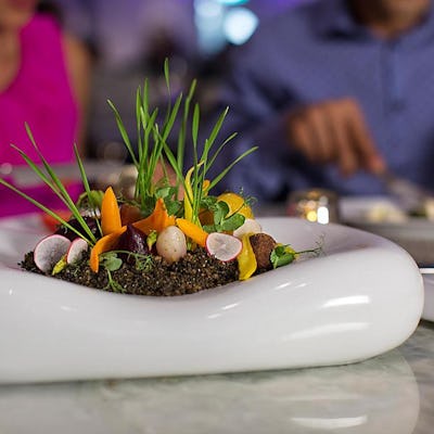 Wonderland Imaginative Cousine