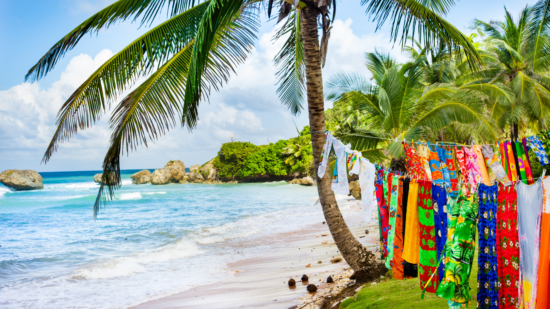 Exotisk sandstrand med saronger hängandes i palmer