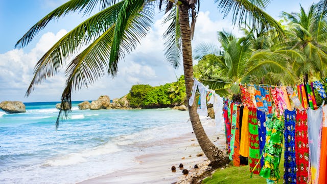 Exotisk sandstrand med saronger hängandes i palmer