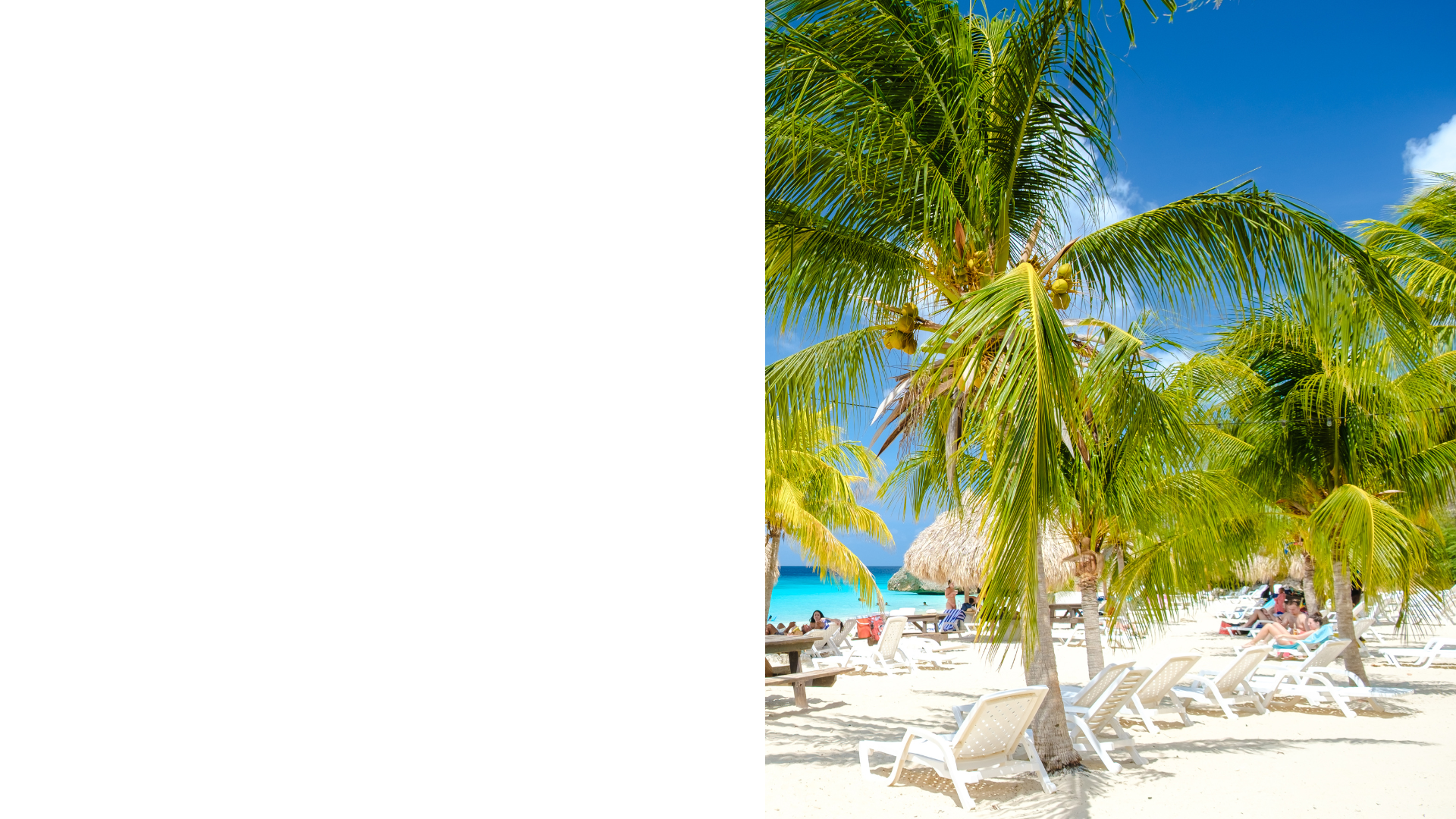 Curaçao - strand med palmer (andra halvan)