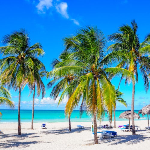 Kubas mjuka vita sträder