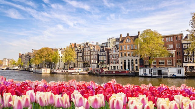 Amsterdam med tulpaner