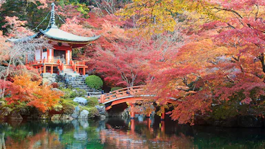 Drömresa runt Japan & Sydkorea