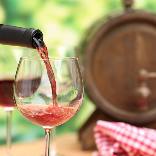 Flodkryssning genom vindalarna i Bordeaux