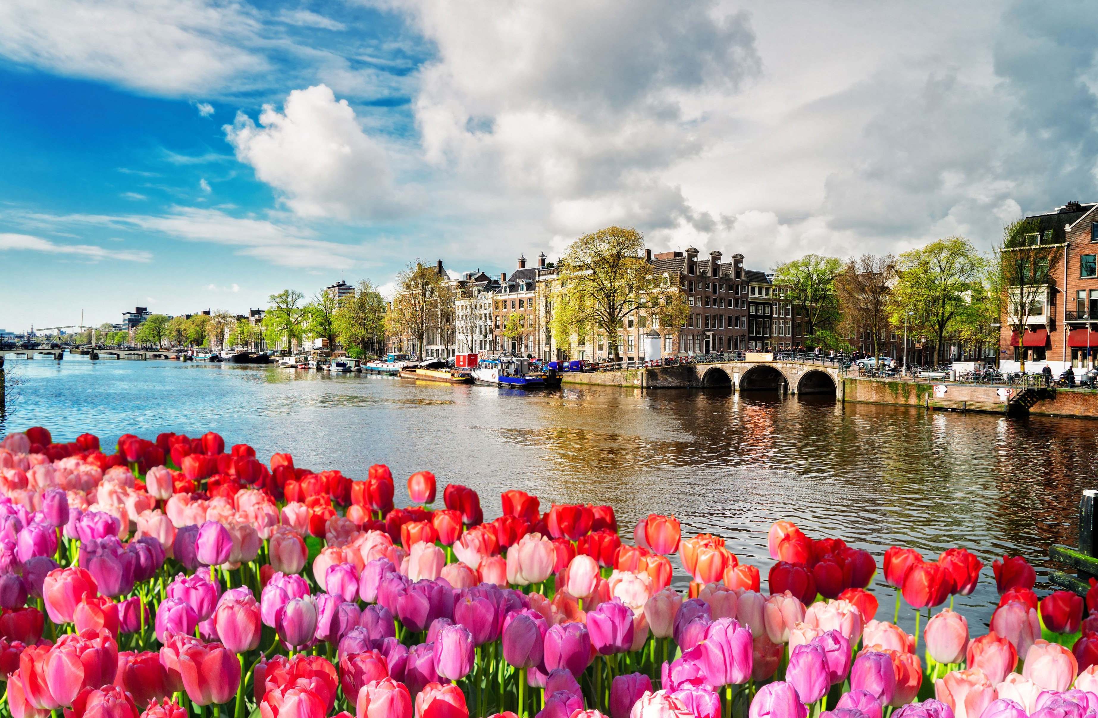 Flodkryssning på Rhen med Keukenhof