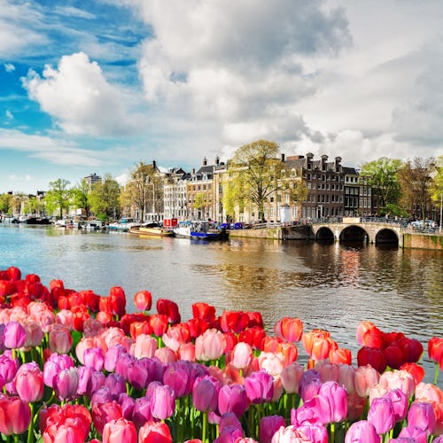 Flodkryssning på Rhen med besök i Keukenhof