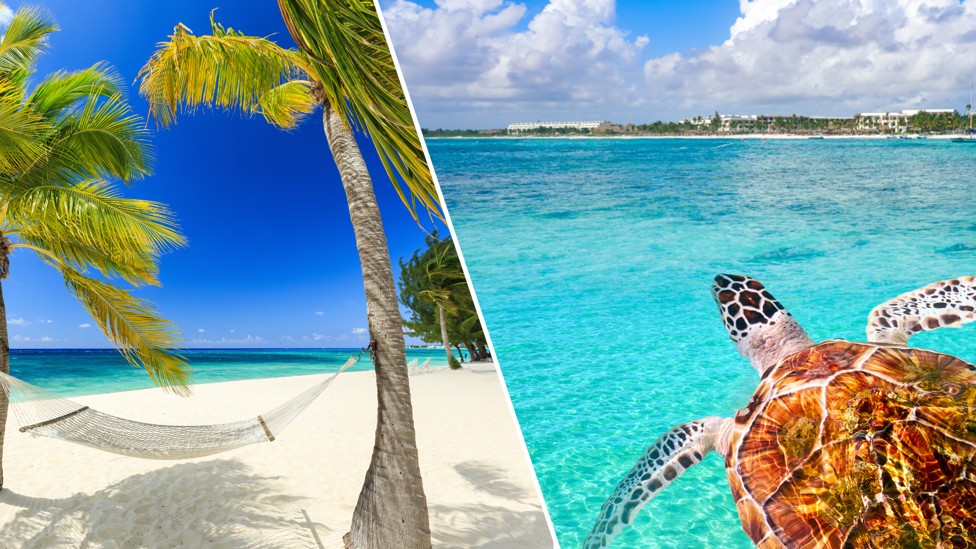 Nyår på Grand Cayman