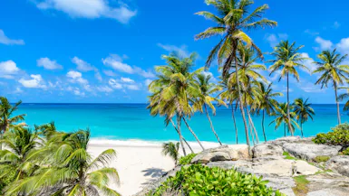 Exklusiv kryssning från Barbados