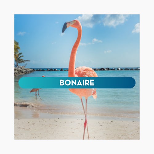bonaire kryssning i södra karibien