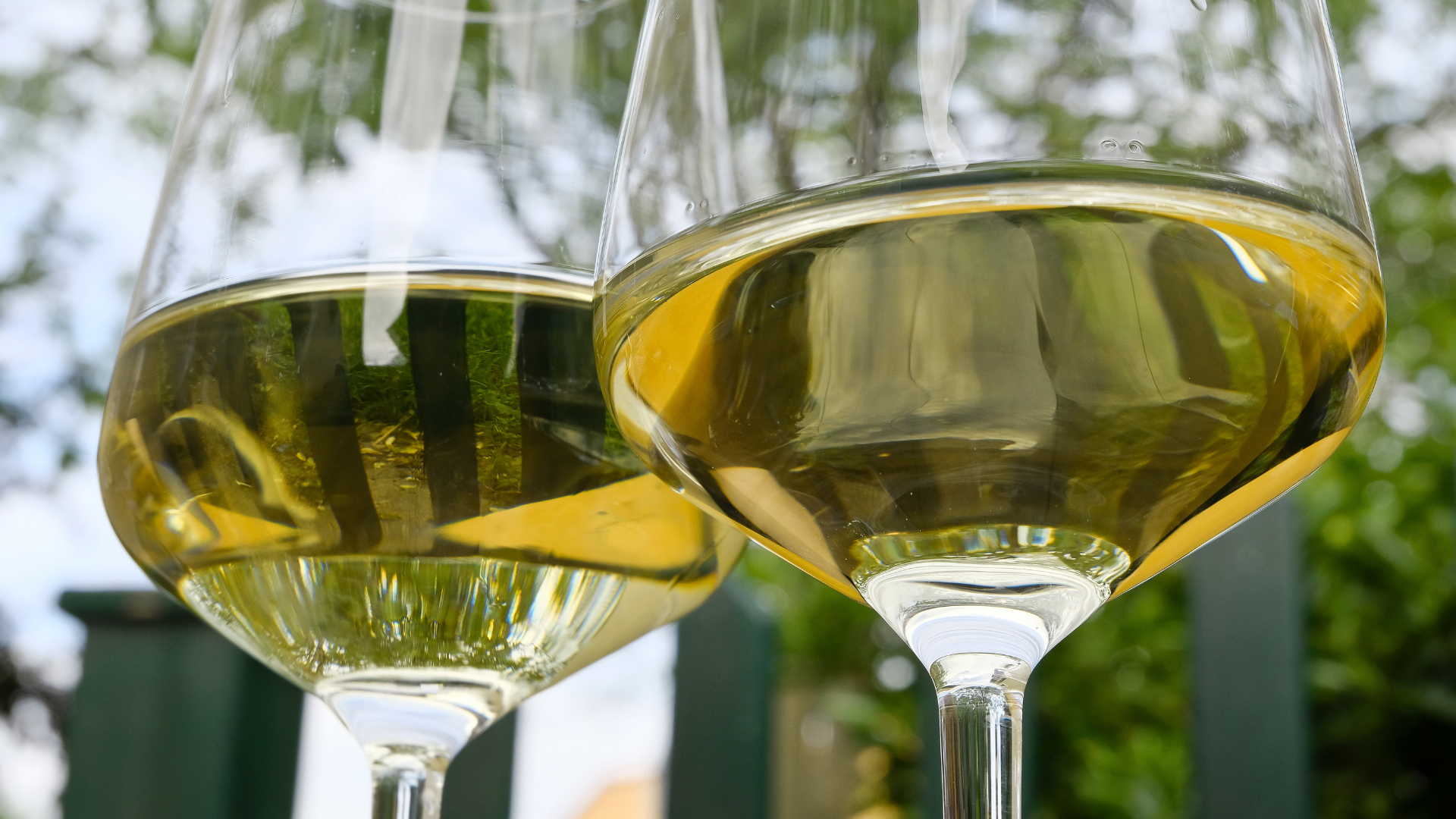 Vinkulturen och "Heuriger"