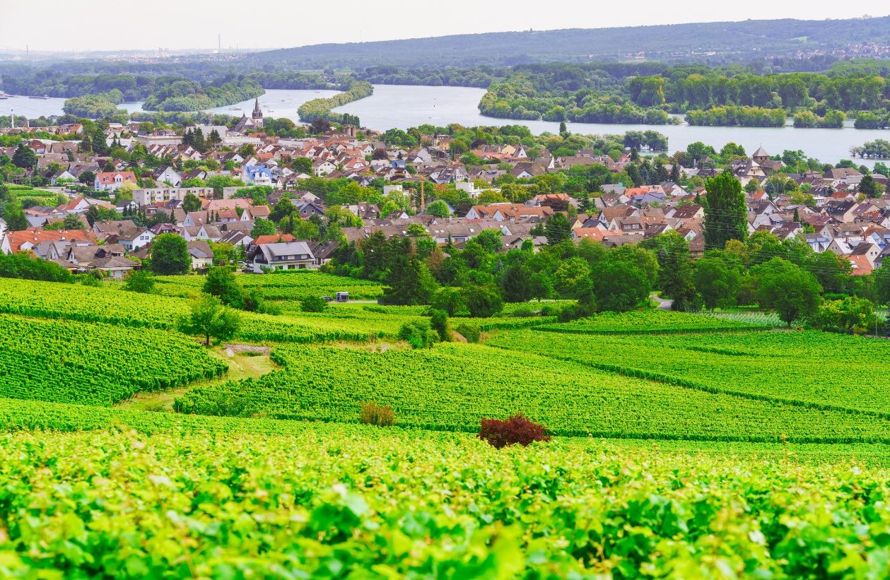 Rheingau