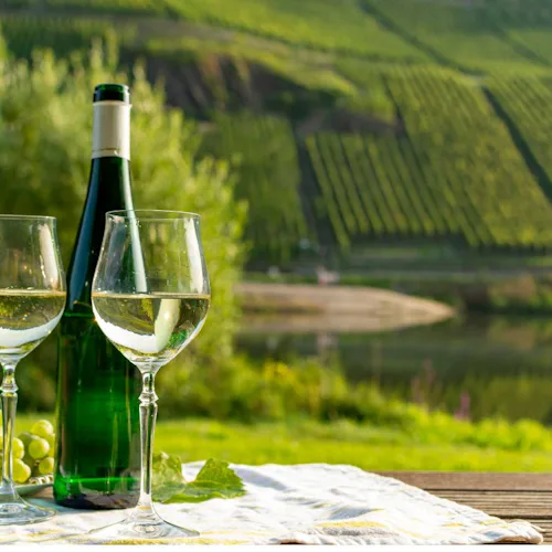 Flodkryssning på Mosel