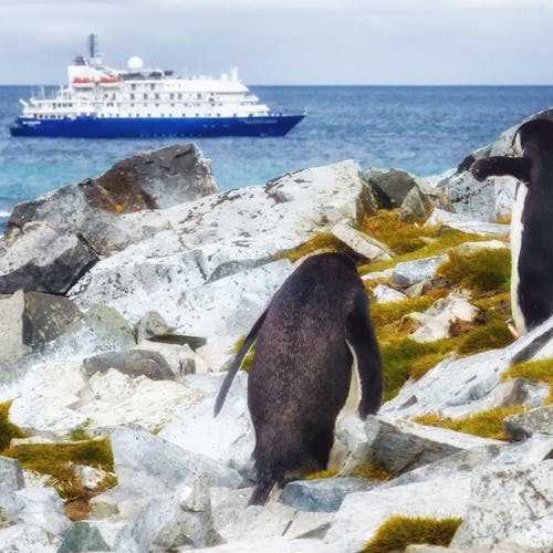 Förundras över det vilda djurlivet