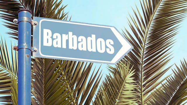 Barbados-skylt med palm