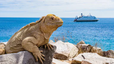 Galapagos
