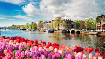 Flodkryssning på Rhen från Amsterdam till Basel