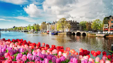 Flodkryssning på Rhen från Amsterdam till Basel