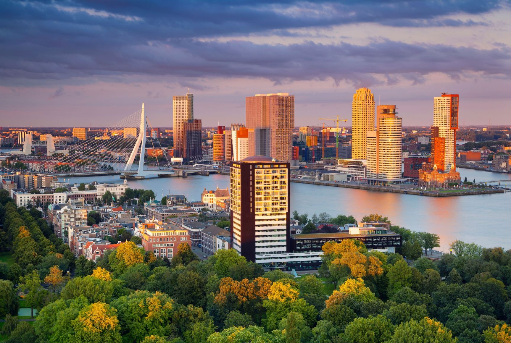 Rotterdam copyright @canva