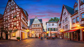 Mainz @canva