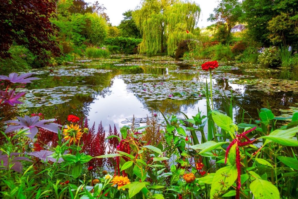 Monets garden @canva