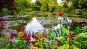 Monets garden @canva